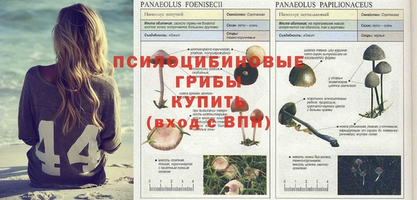 ALPHA-PVP Баксан