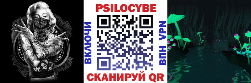 где можно купить   Гдов  Галлюциногенные грибы прущие грибы 